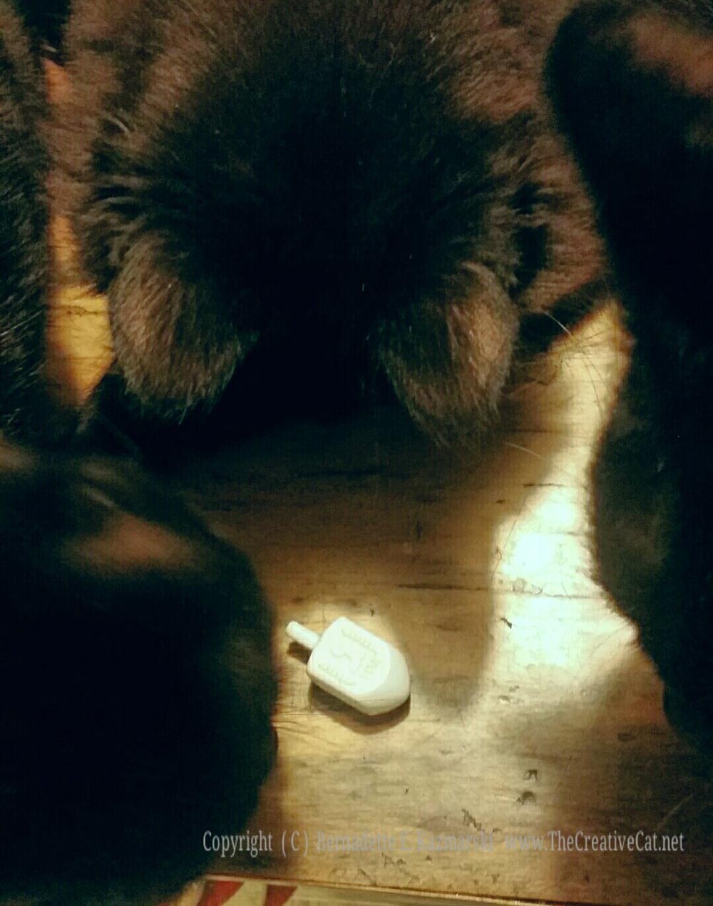 Simon looks at the dreidel; he can't figure it out either.