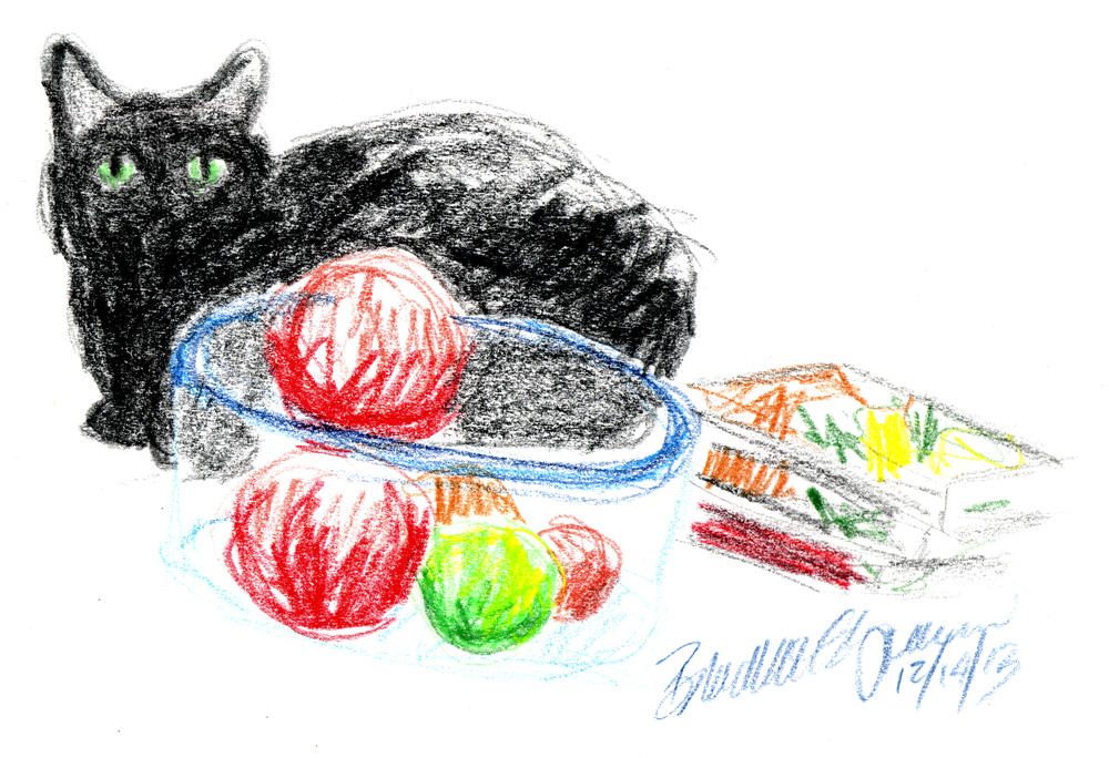 colored pencil drawing of black cat with objects