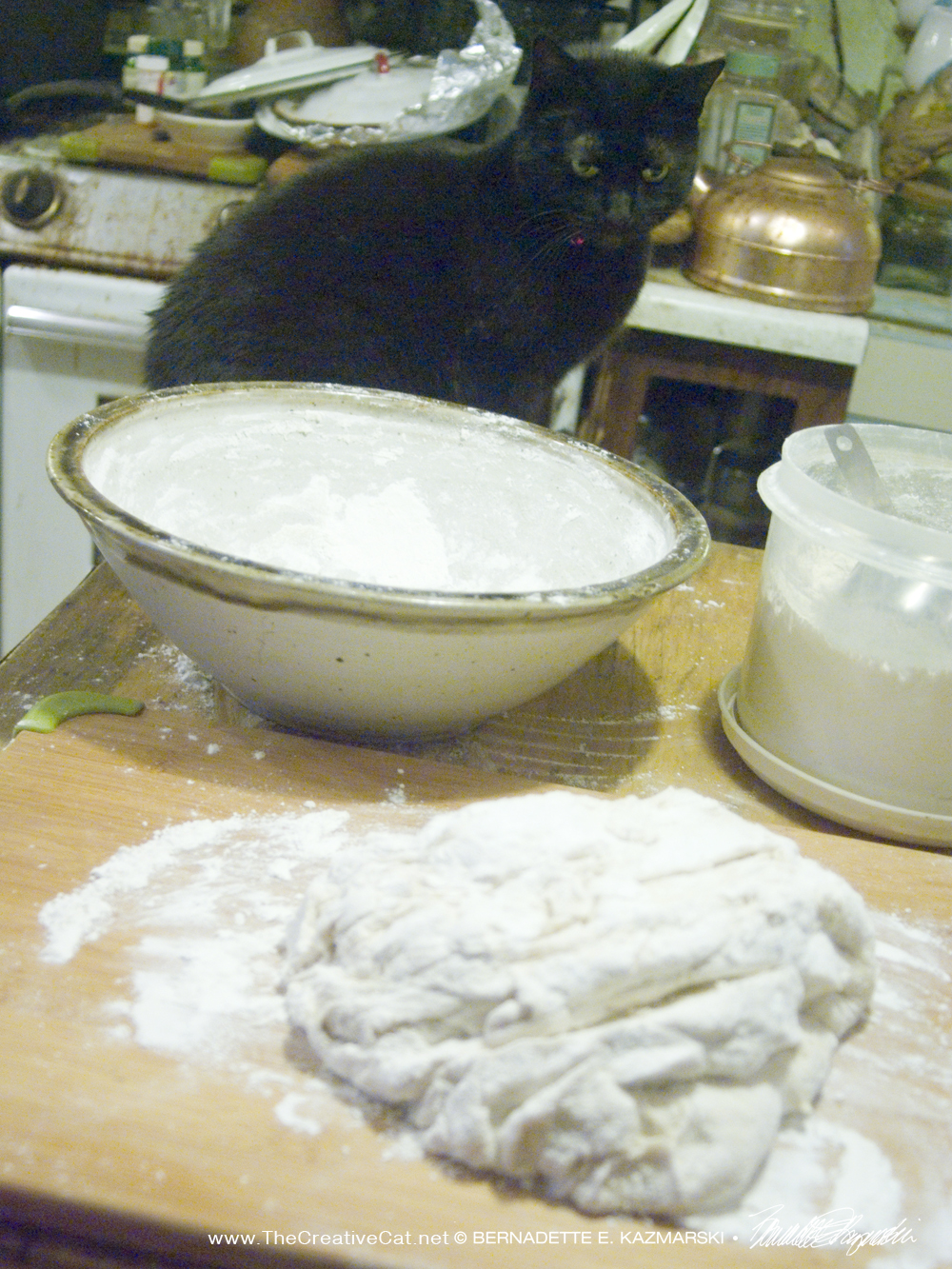 black cat with bread dough