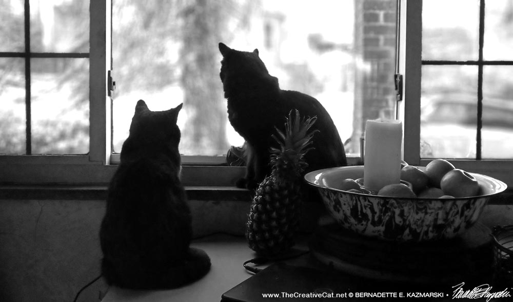 black and white silhouette of two cats with fruit bowl