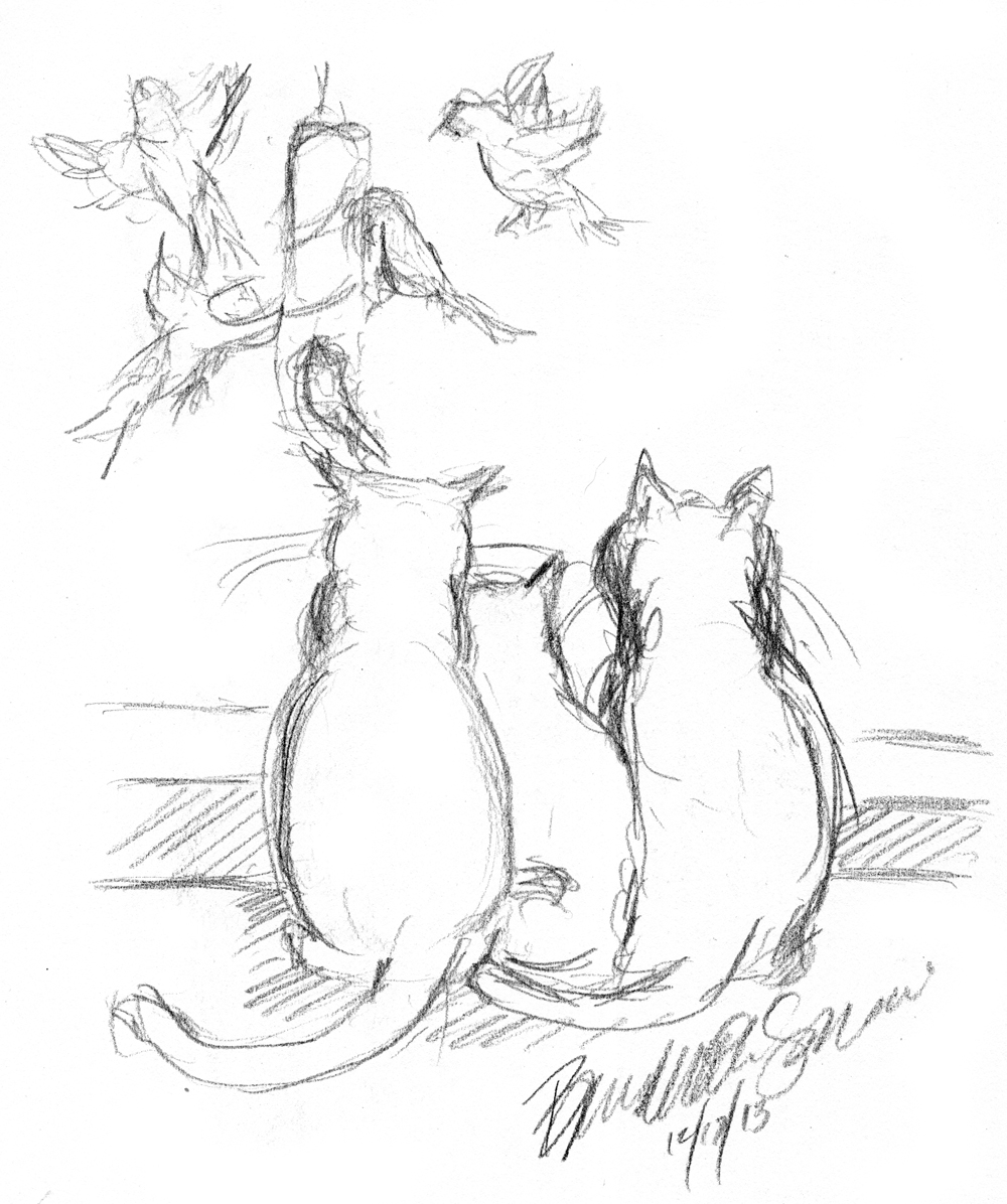 pencil sketch of three cats watching birds