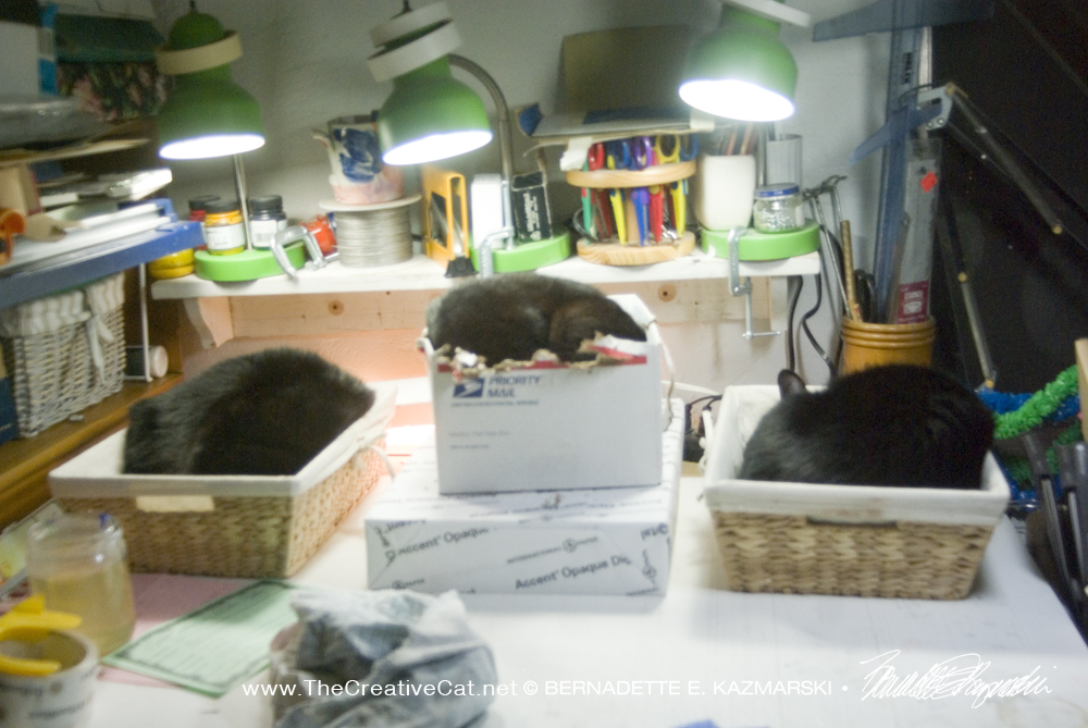 cats sleeping in baskets