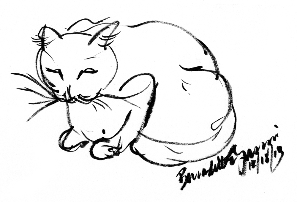 brush drawing of cat