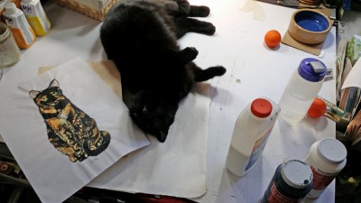 black cat on art table