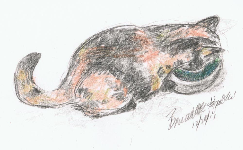 pencil and colored pencil sketch of tortoiseshell cat drinking