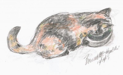 graphite and colored pencil sketch of tortoiseshell cat drinking