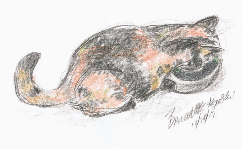 graphite an doclored pencil sketch of tortoiseshell cat drinking