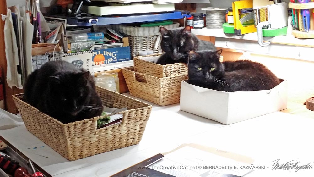 The original three, more or less happy in their baskets.