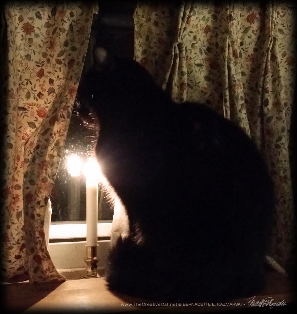 Mewsette waits at the window and wishes the neighbors a merry Christmas eve.