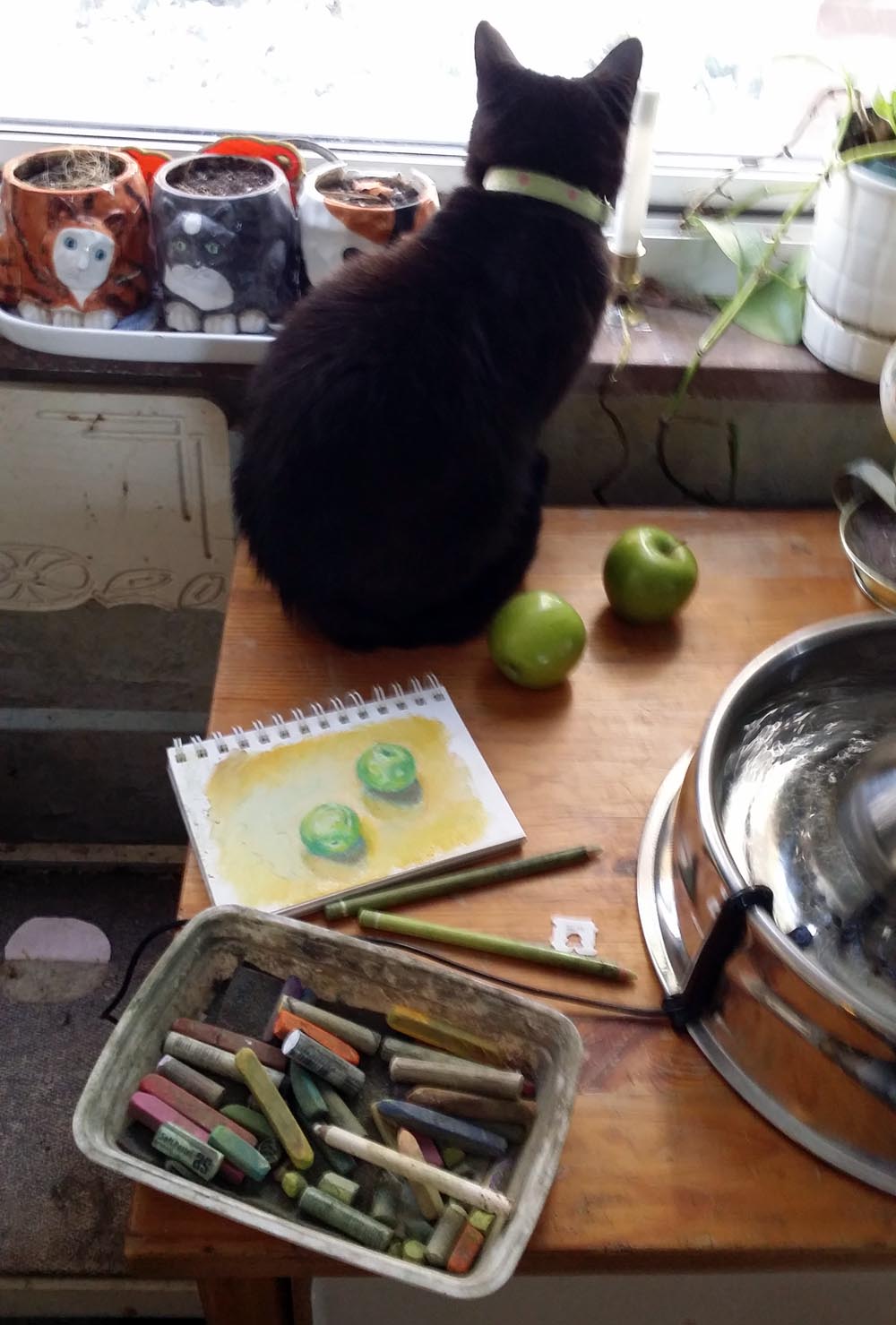 black cat with apples, painting and pastels