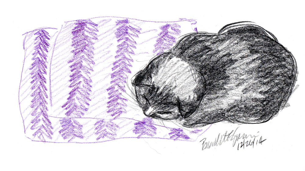 colored pencil sketch of black cat