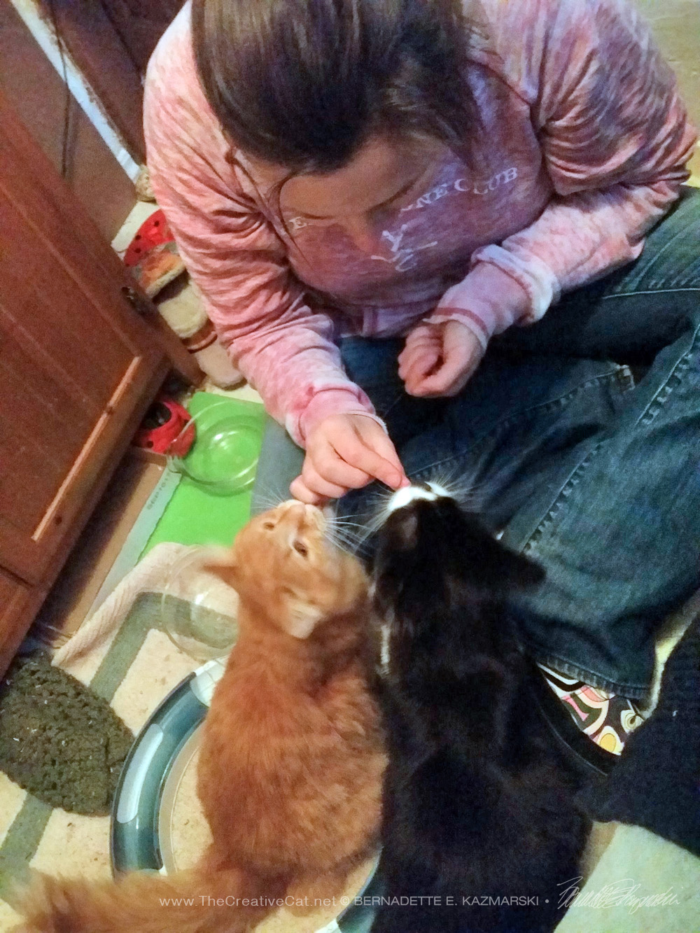 woman feeding treats to two cats