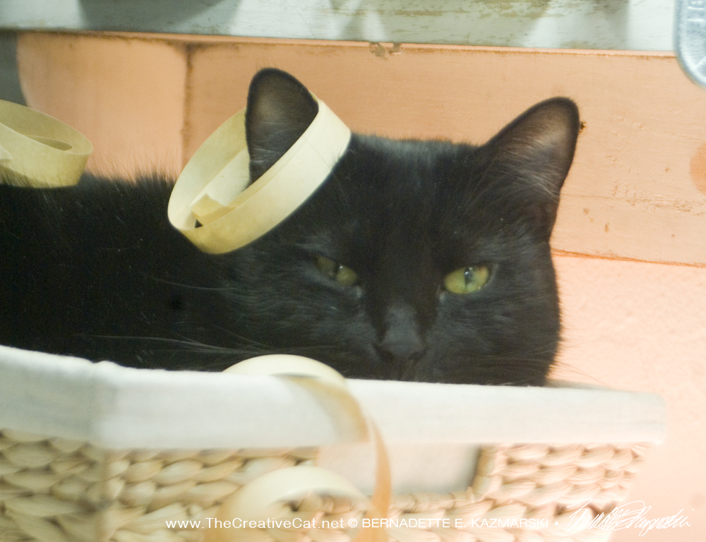 black cat with decorations.