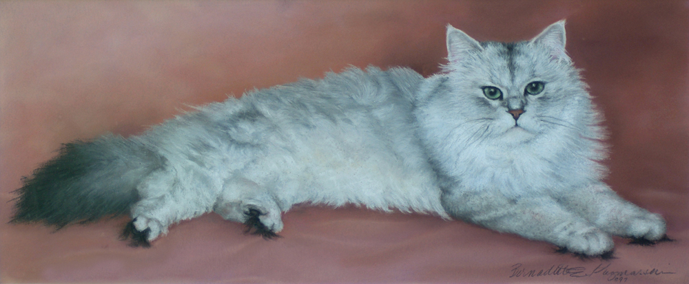 pastel portrait of chinchilla persian cat