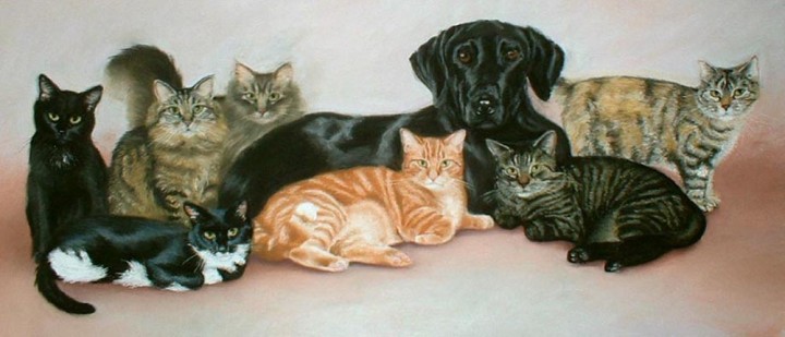 portrait of cats and dog