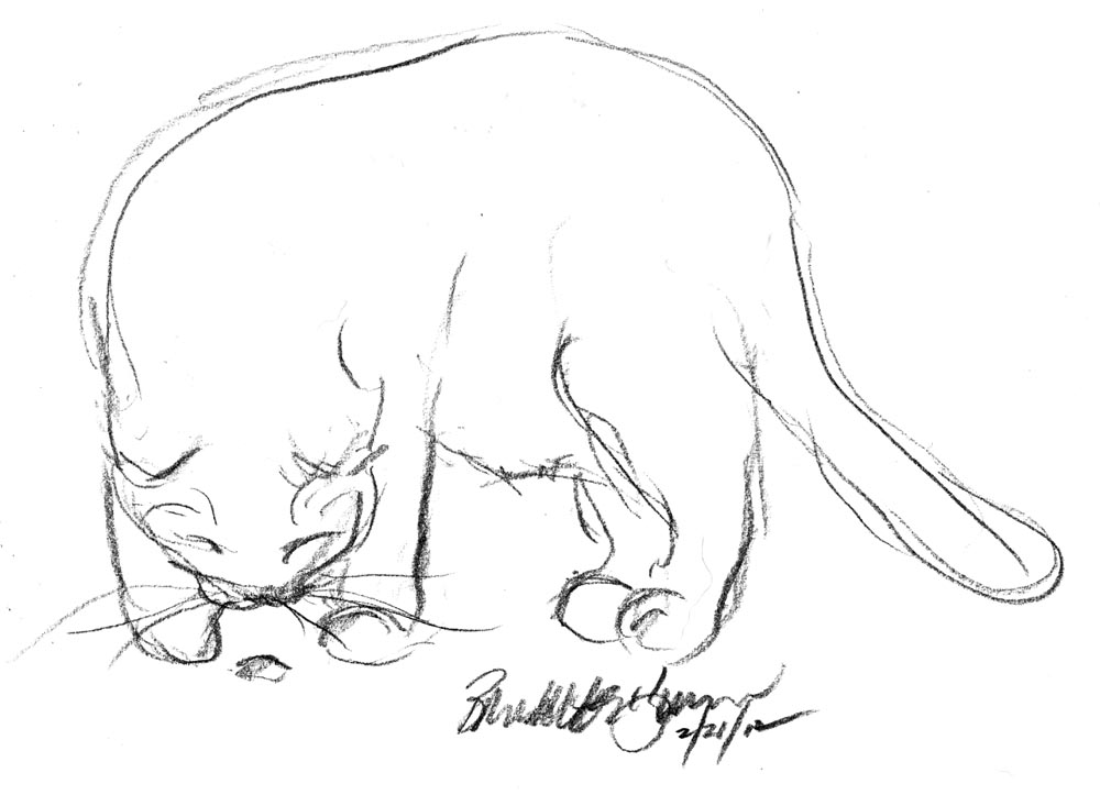 pencil sketch of cat with stink bug
