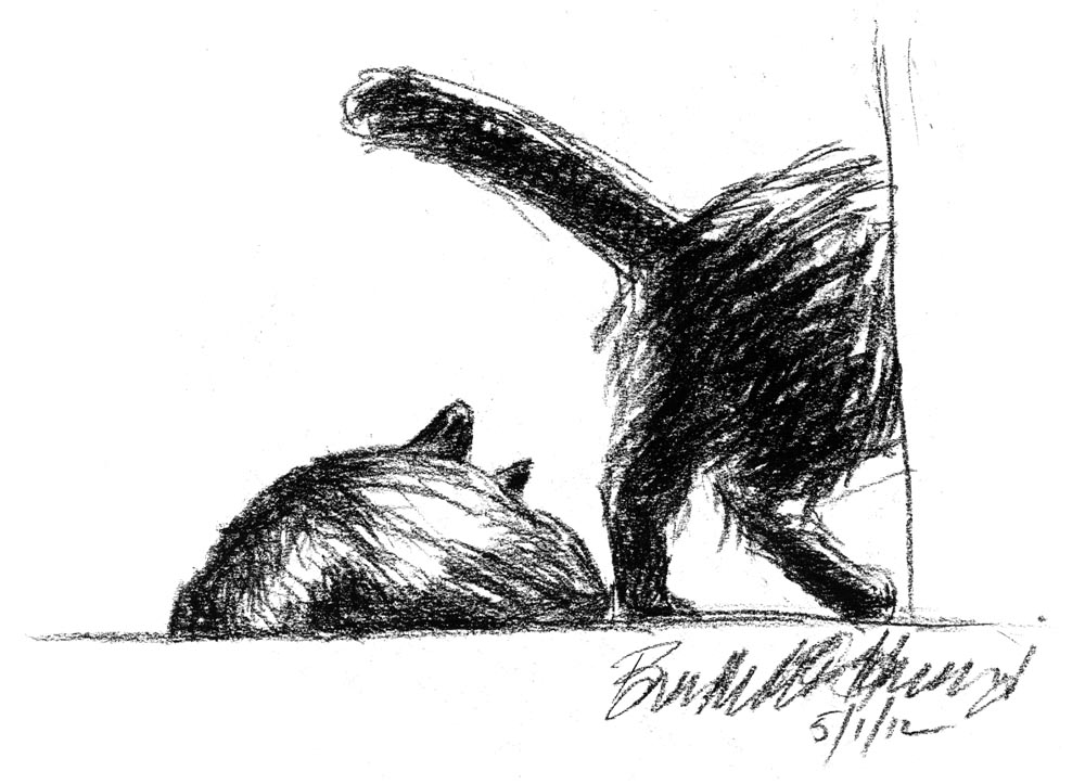 sketch of two cats