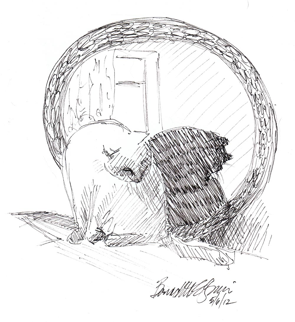 ink sketch of cat bathing in front of round mirror