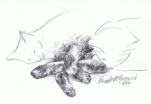 pencil sketch of two cats with crossed paws