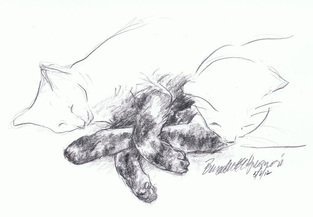 pencil sketch of two cats with crossed paws