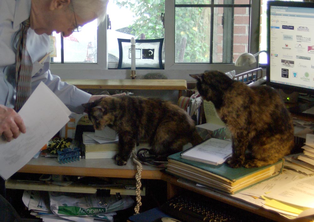 two tortoiseshell cats with man