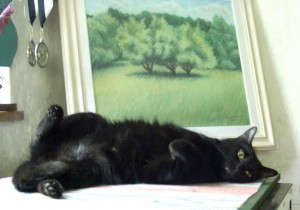 black cat lyin gon side in front of painting