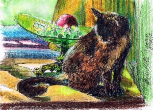 ink and watercolor sketch of cat with still life