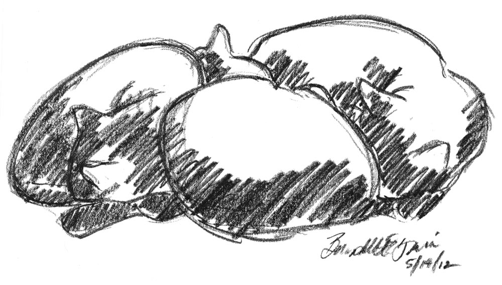 charcoal sketch of three cats sleeping