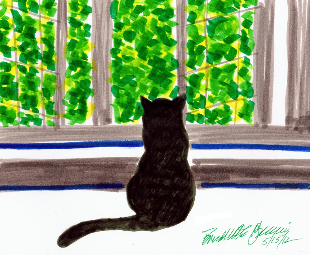marker sketch of cat looking out window