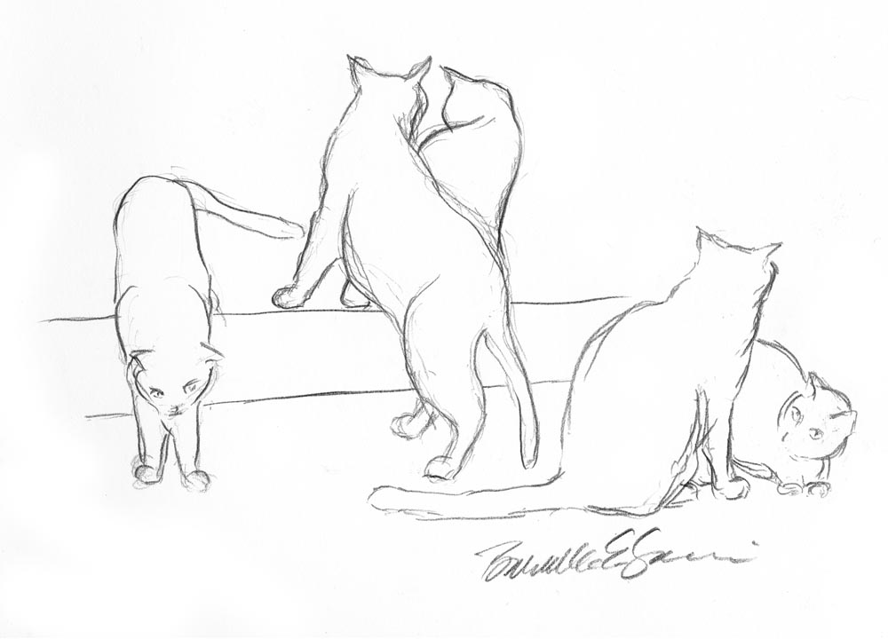 pencil sketch of five cats