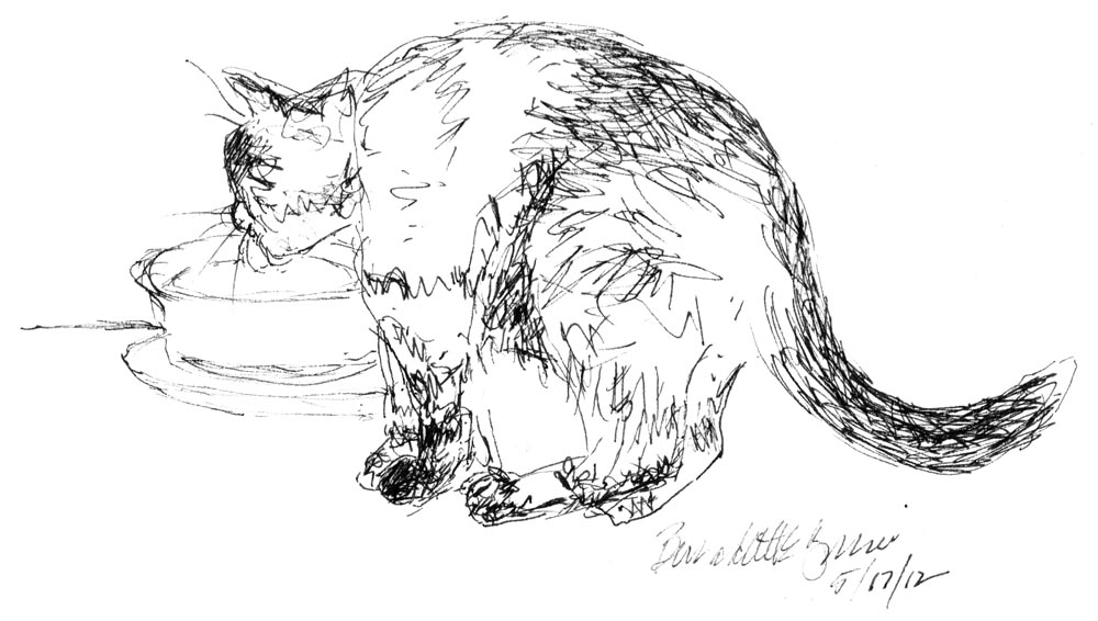 ink sketch of cat drinking water