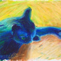 cat sleeping in oil pastel