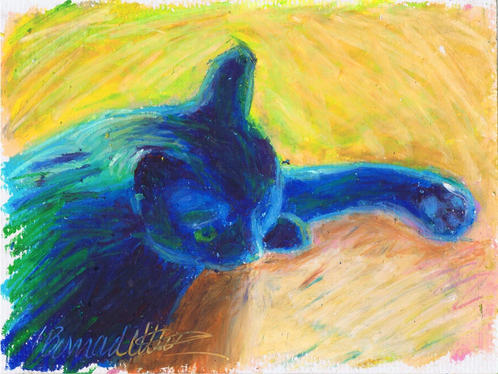 cat sleeping in oil pastel