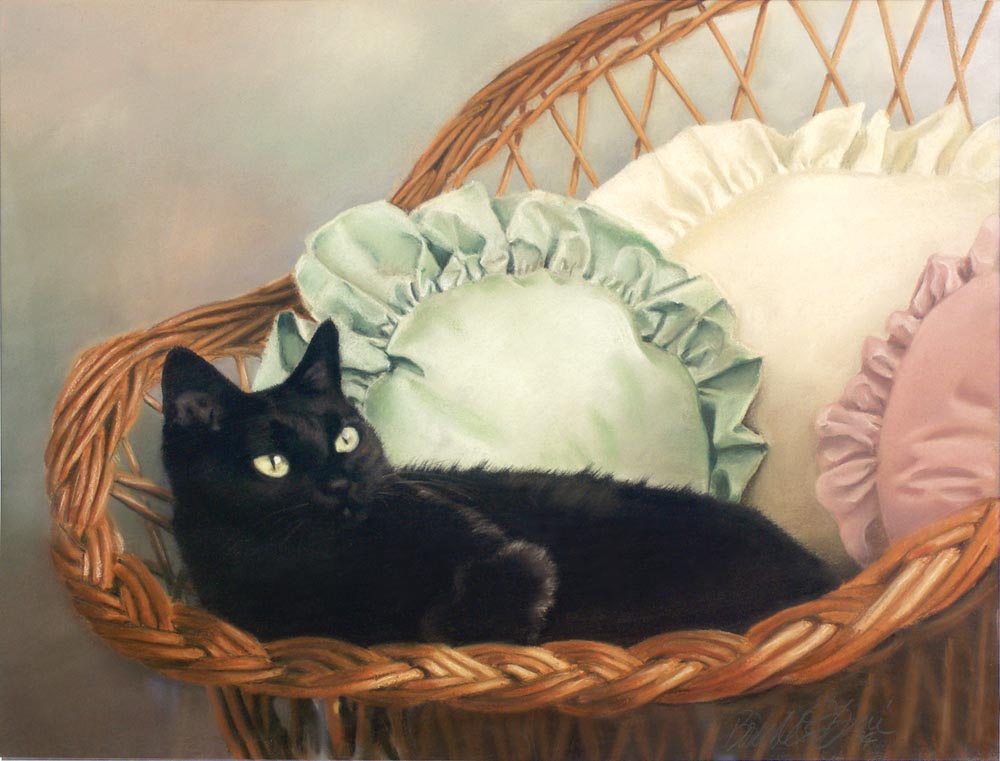 portrait of black cat on wicker chair