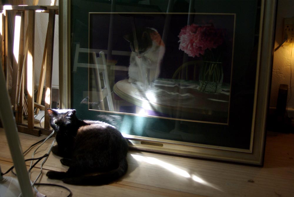 black cat sleeping in front of painting on floor
