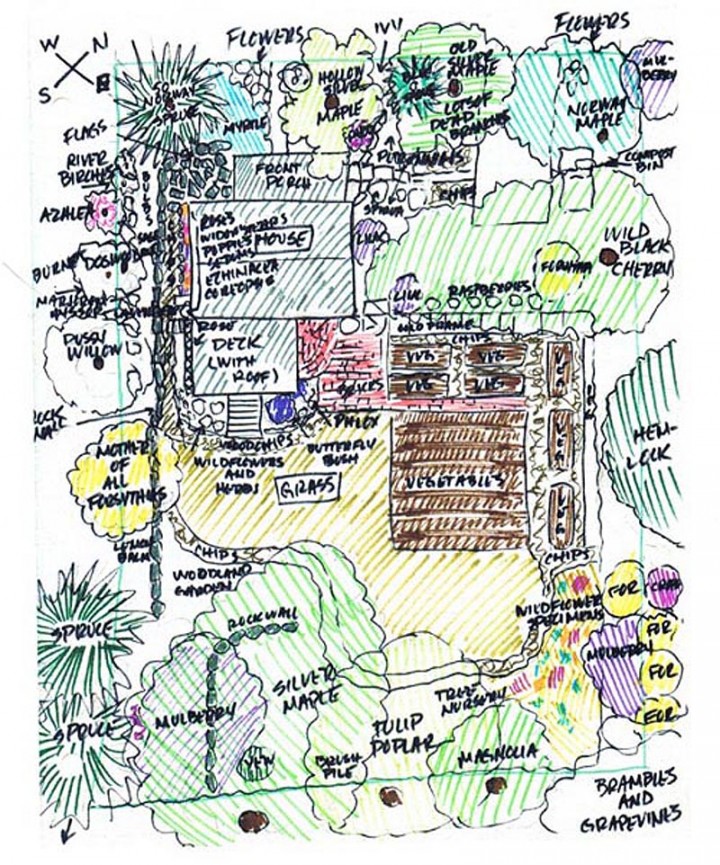 diagram of backyard wildlife habitat