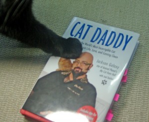 black cat with cat daddy by jackson galaxy