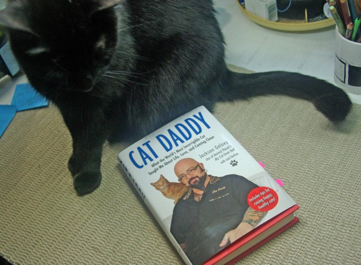 black cat with cat daddy by jackson galaxy