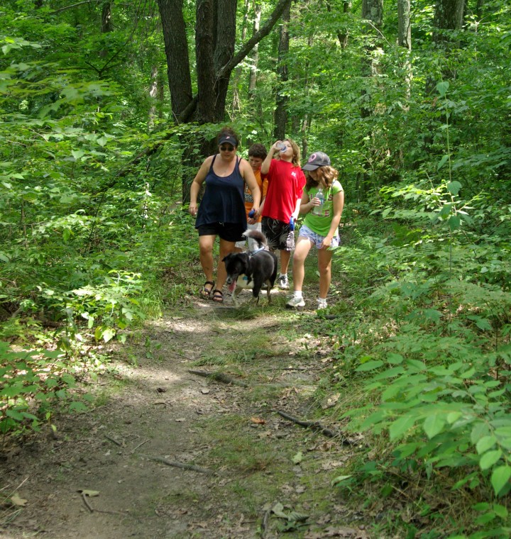 people with dogs along trail
