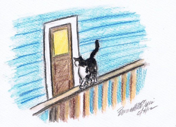 illustration of cat on railing outside door