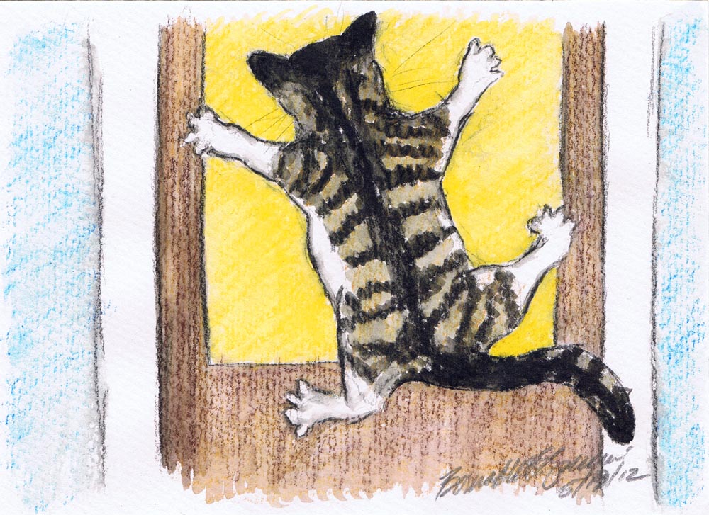 illustration of cat clinging to screen