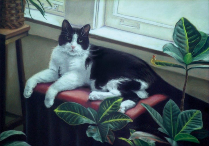 pastel portrait of black and white cat