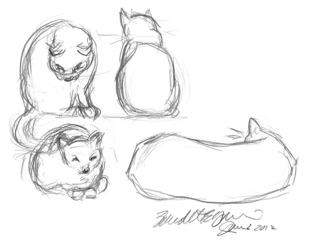 pencil studies of cats
