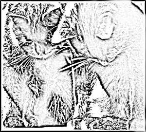 filtered image of two cats
