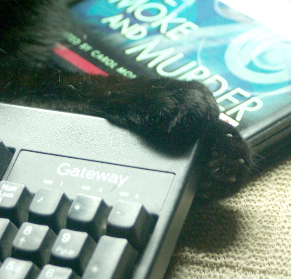 front paws of black cat wrapped around keyboard