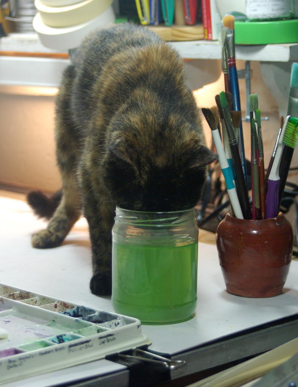 tortoiseshell cat drinking out of green water in jar