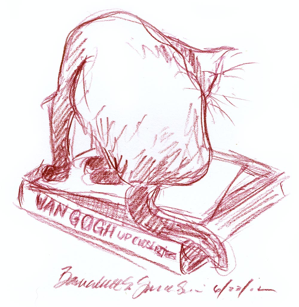 sketch of cat bathing on book
