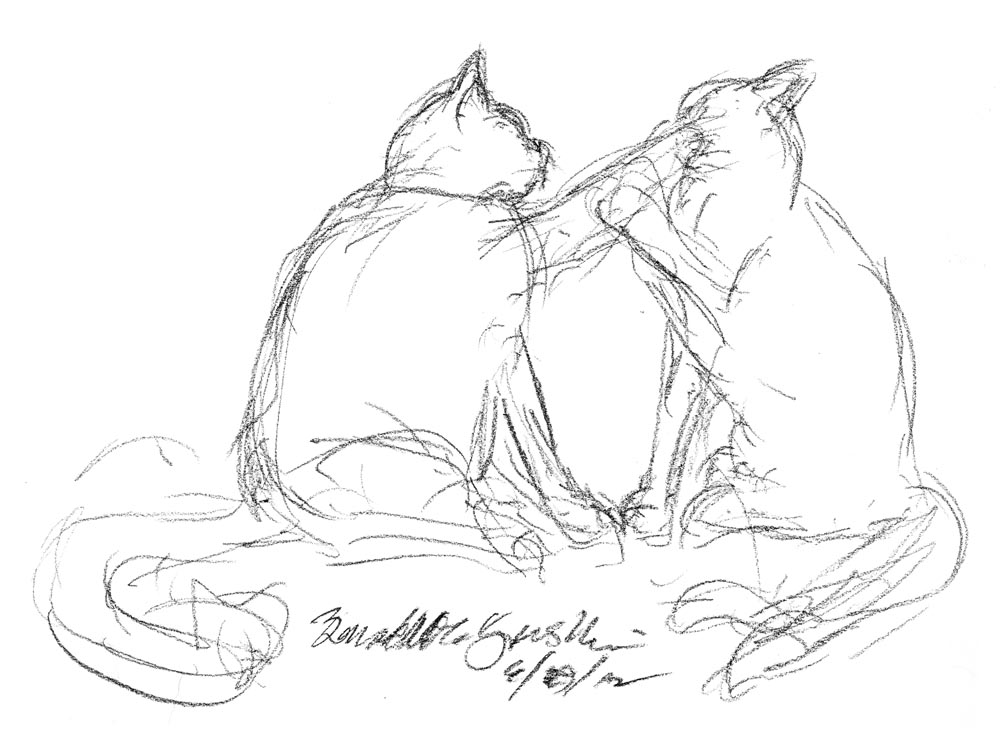 sketch of two cats fighting