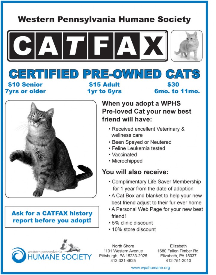 CAT FAX FROM THE WESTERN PENNSYLVANIA HUMANE SOCIETY