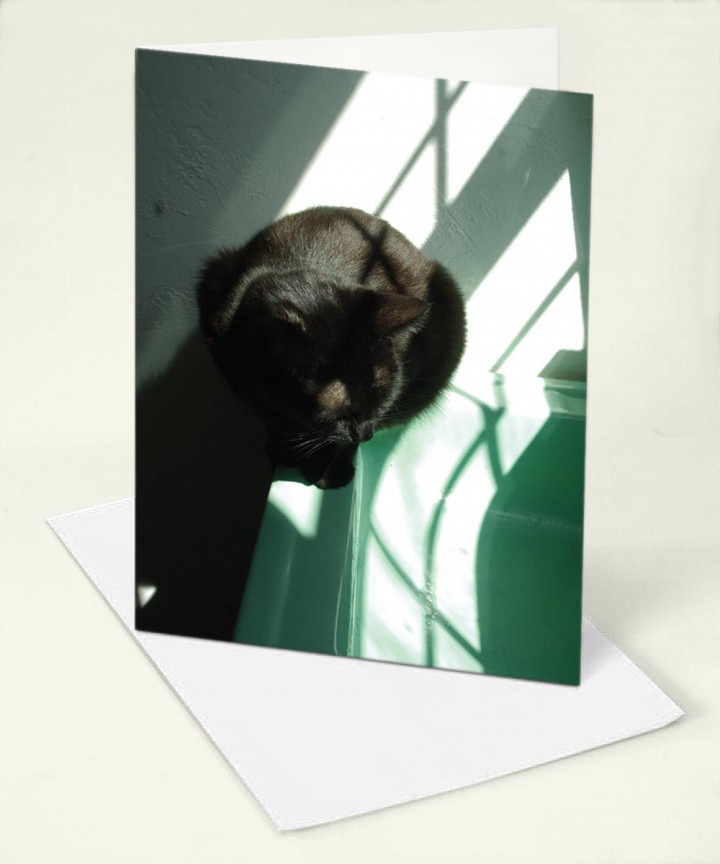 sample of card with black cat on green sink